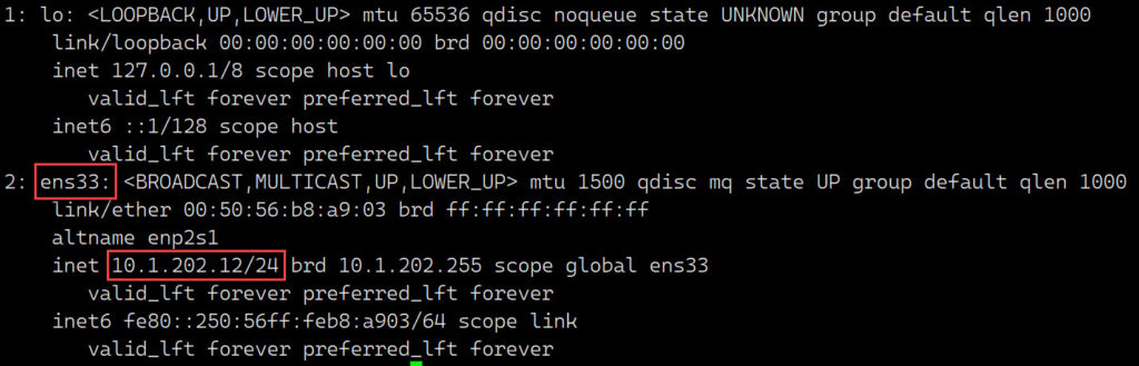 Risultato del comando IP a, su Ubuntu Server 22.04